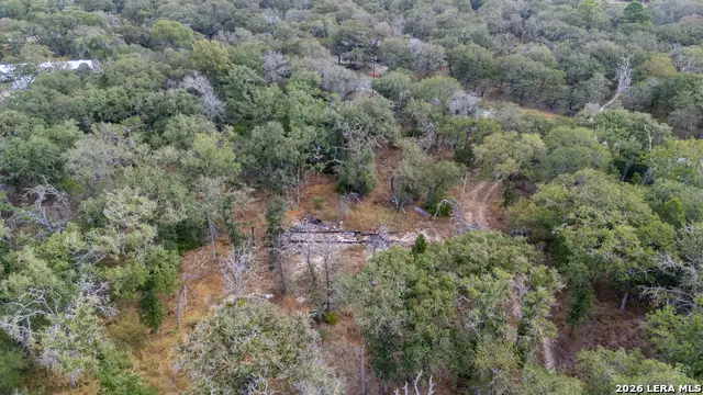 796 Blue Stem Rd, Seguin, TX 78155 - #3