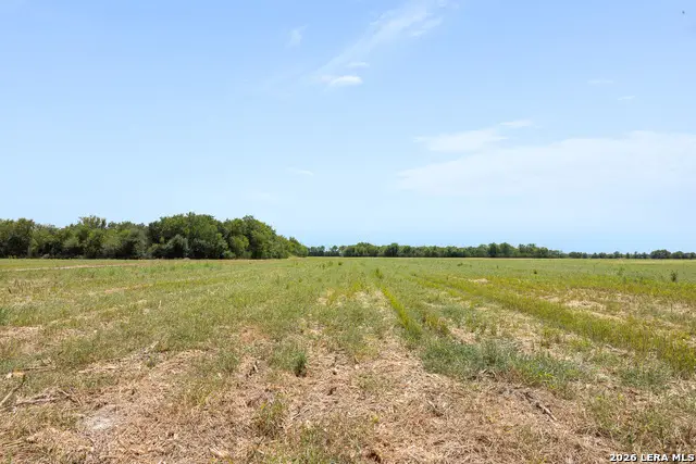 LOT 2 Buls Road, East Bernard, TX 77435 - #2