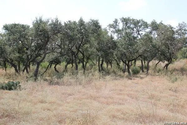 TBD Stone Loop, Castroville, TX 78009