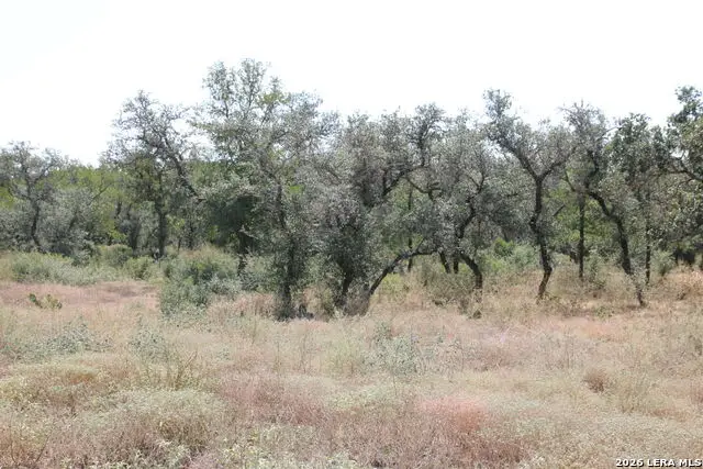TBD Stone Loop, Castroville, TX 78009 - #2