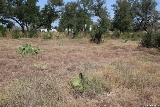 TBD Stone Loop, Castroville, TX 78009 - #3