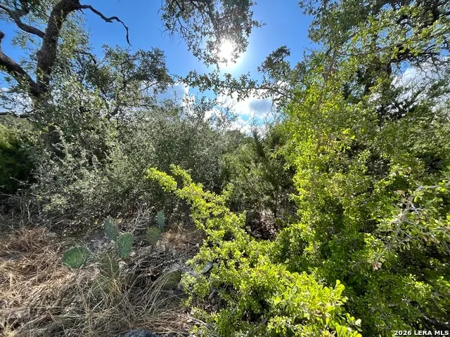 5806 Copper Vly, New Braunfels, TX 78132 - #2