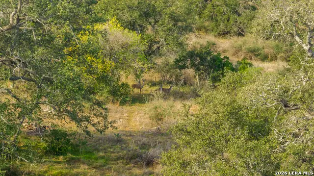 000 Highway 16, Llano, TX 78643 - #2
