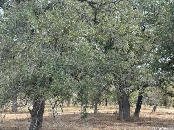 190 Deer Park Rd., La Vernia, TX 78121