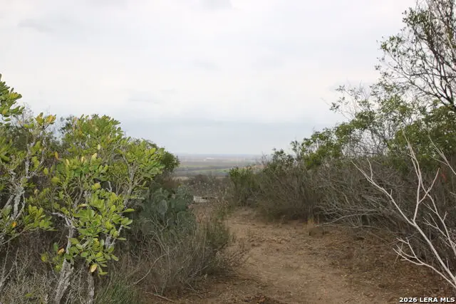 TBD County Road 573, Castroville, TX 78009 - #2