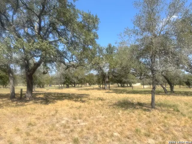 1600 County Road 770, Natalia, TX 78059 - #2