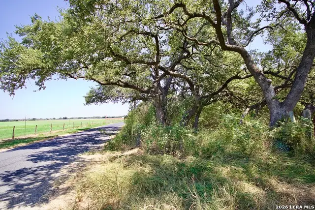 LOT 3 Bruce Road, Poteet, TX 78065 - #3