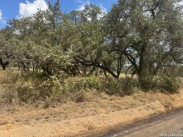11633 W Fm 476, Somerset, TX 78069 - #3
