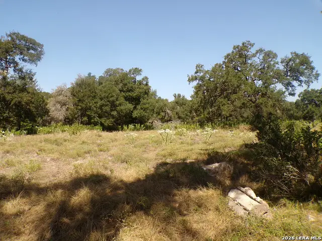 31401 Smithson Valley, Bulverde, TX 78163 - #1