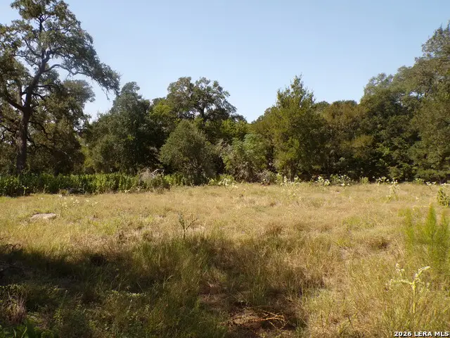 31369 Smithson Valley, Bulverde, TX 78163 - #1