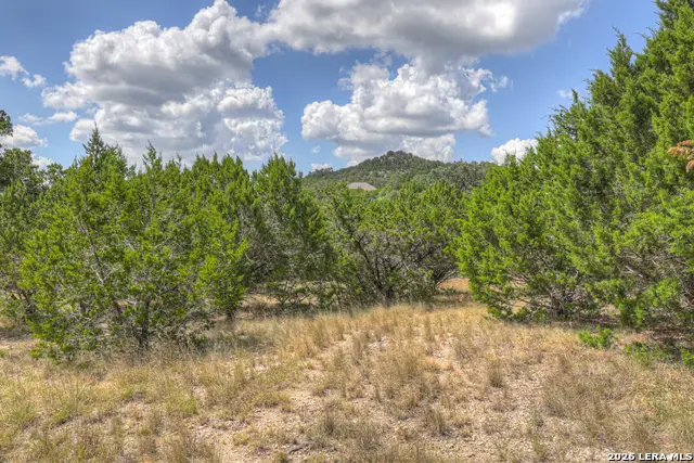 462 Toye Blvd, Canyon Lake, TX 78133 - #1