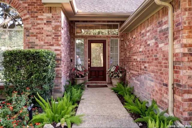 20528 Wind Springs, San Antonio, TX 78258 - #3