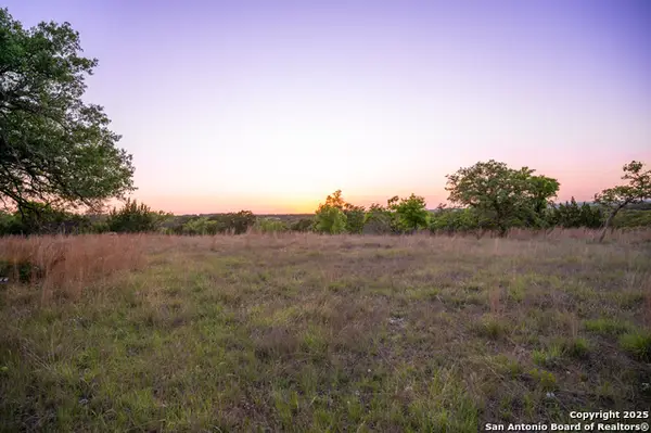 LOT 31 Shady Hollow, Blanco, TX 78606