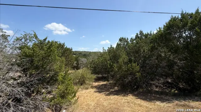 1533 Desiree St, Canyon Lake, TX 78133 - #3