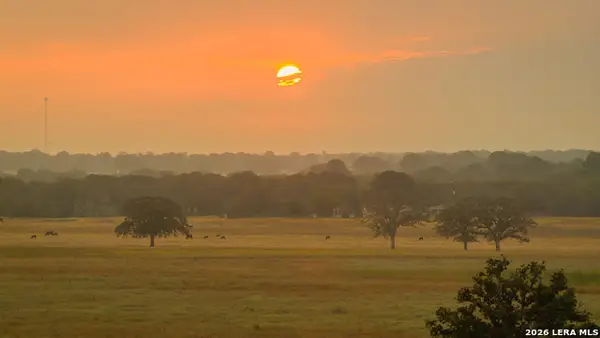 TBD 113 ACRES County Road 423, Harwood, TX 78959