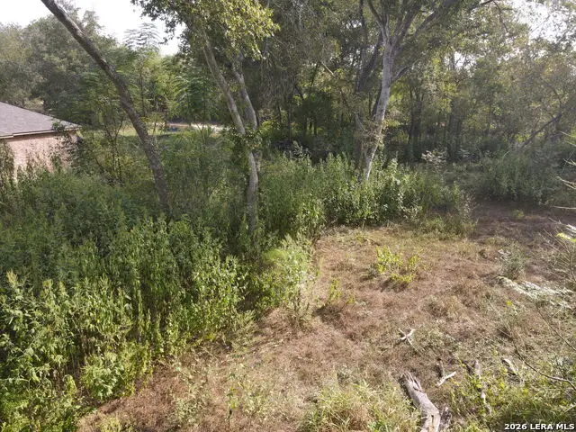 273 Turtle, Seguin, TX 78155 - #3