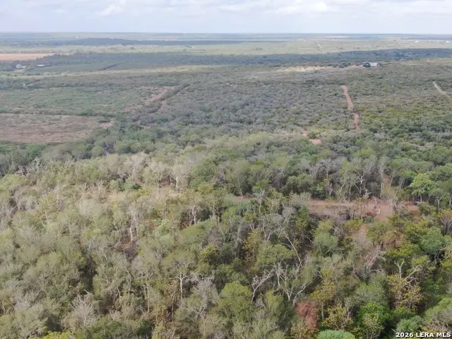 00 Fm 463, Devine Natalia, TX 78069 - #3