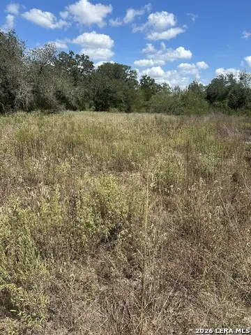 207 Charcoal Company Ln, Muldoon, TX 78949 - #3