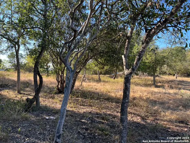 6519 Putman Pass, San Antonio, TX 78233 - #2
