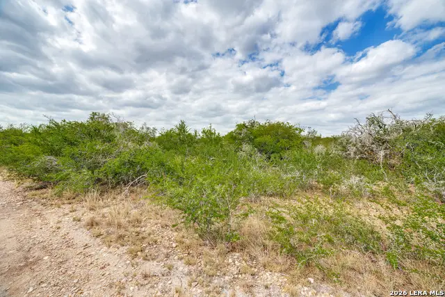 TRACT 3 County Road 652, Devine, TX 78016 - #2