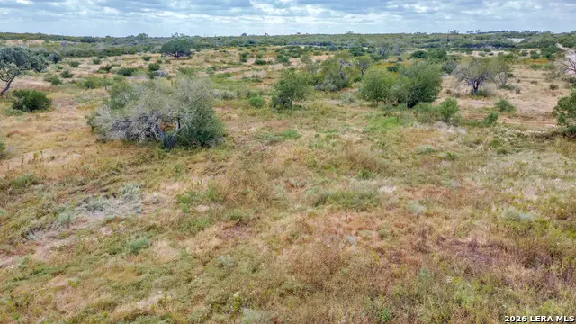 TRACT 2 & 3 County Road 652, Devine, TX 78016 - #3