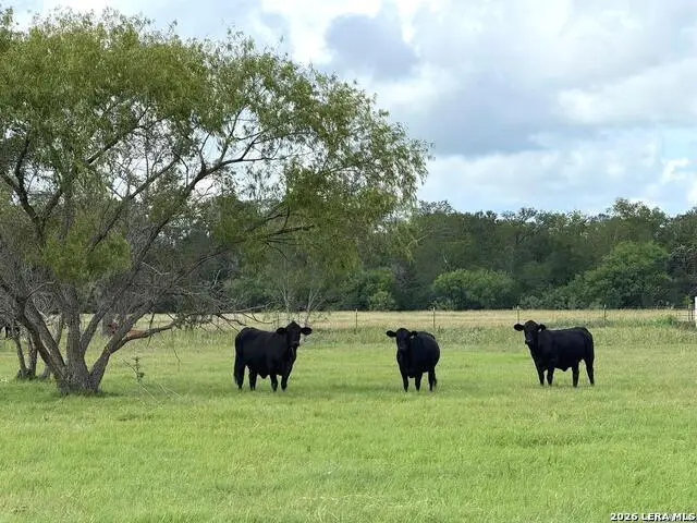 2712 N State Highway 80, Nixon, TX 78140 - #3