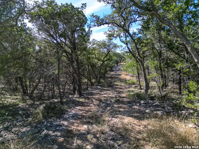 LOT 5 Sophie, Bandera, TX 78003 - #3
