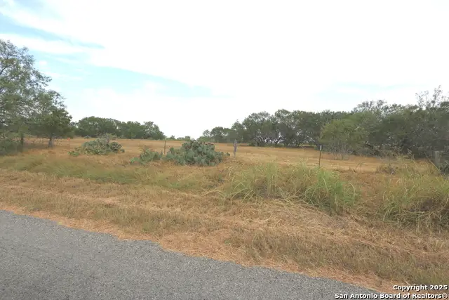 2.26 ACRES (tract 4) Cr 433, Stockdale, TX 78160 - #3