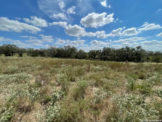187 County Road 331, Floresville, TX 78114 - #1