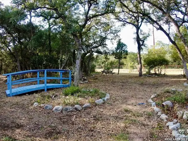 705 County Road 2763, Mico, TX 78056 - #2