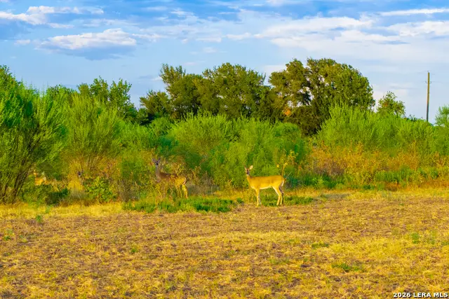 TRACT 2 75 ACRE Fm 1063, Taylor, TX 76574 - #3