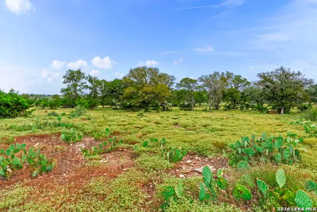 322 Axis Circle, Fredericksburg, TX 78624 - #3