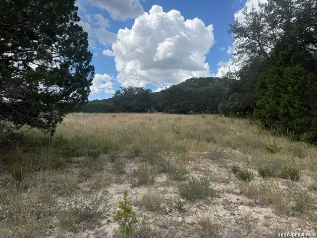 000 Bear Creek Rd, Pipe Creek, TX 78063 - #2