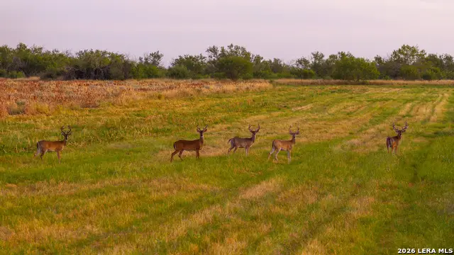 1909 Hubbard Rd, Cotulla, TX 78014 - #3