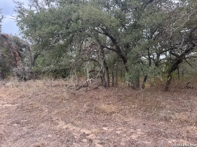 133 White Horse Ln, Stockdale, TX 78160 - #1
