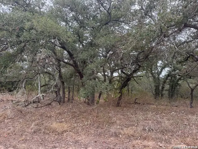 133 White Horse Ln, Stockdale, TX 78160 - #3
