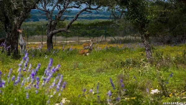 TBD El Rincon, Mountain Home, TX 78058