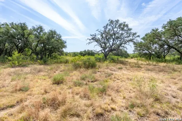 LOT 18 Utopia Forrest, Dhanis, TX 78850 - #2