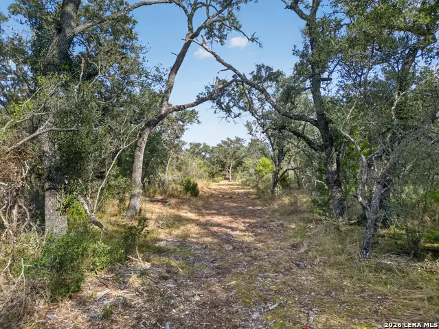 LOTS 19 & 20 1796 Ranch, Dhanis, TX 78850 - #1