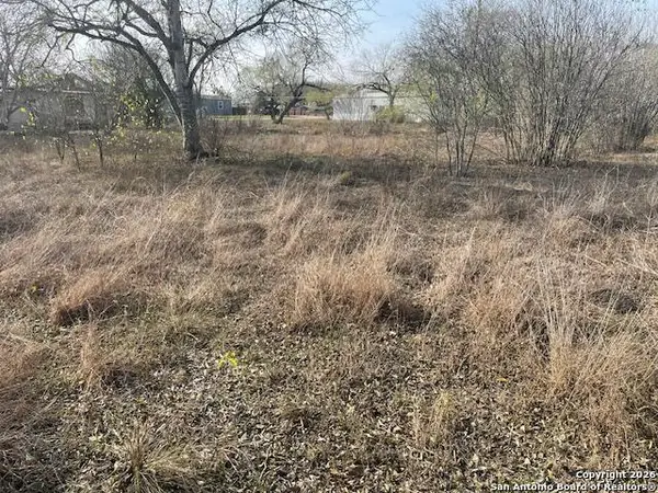 610 Cedar St, Jourdanton, TX 78026