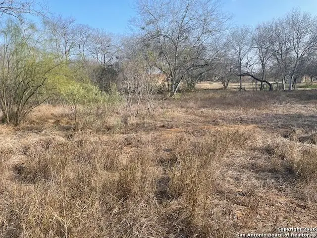 610 Cedar St, Jourdanton, TX 78026 - #3