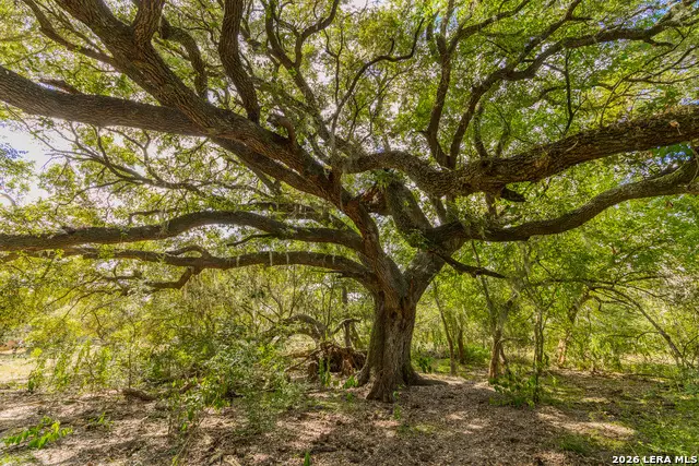 TBD Fm 530, Hallettsville, TX 77964 - #2