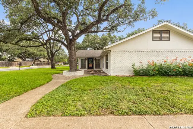 14102 Red Maple, San Antonio, TX 78247 - #3