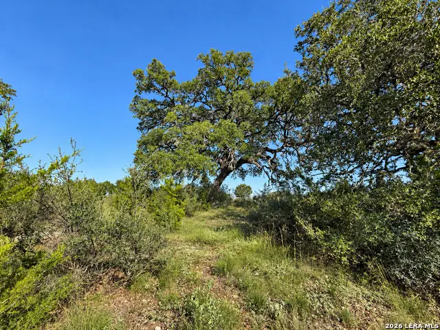 LOT 32 Lariat Trace, Bandera, TX 78003 - #2