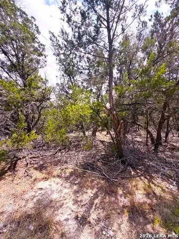 7 San Antonio, Wimberley, TX 78676 - #3