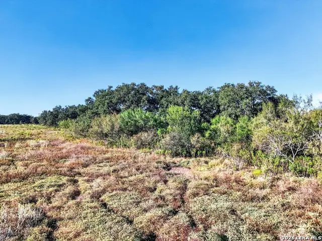 LOT 134 Fm 1796, Dhanis, TX 78850 - #3