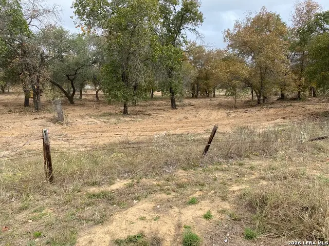 184 County Road 781, Natalia, TX 78059 - #2