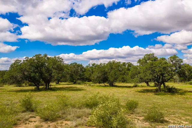 3145 N Grape Creek Rd, Fredericksburg, TX 78624 - #2