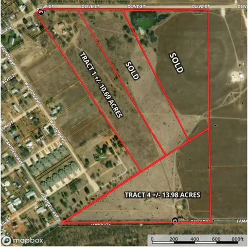 +/- 10.69 ACRES Olive Street, Jourdanton, TX 78026 - #3