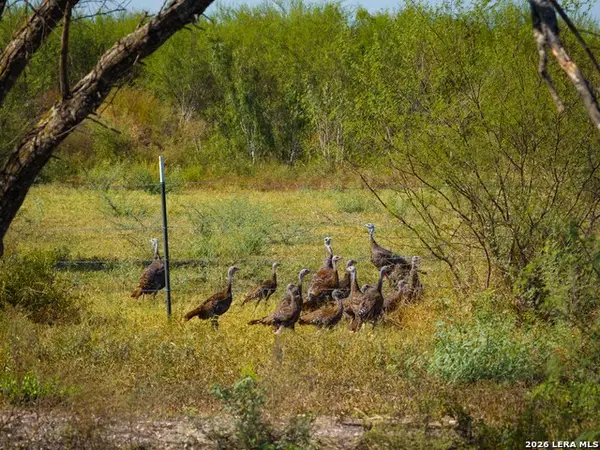 000 Cr 341, Beeville, TX 78102